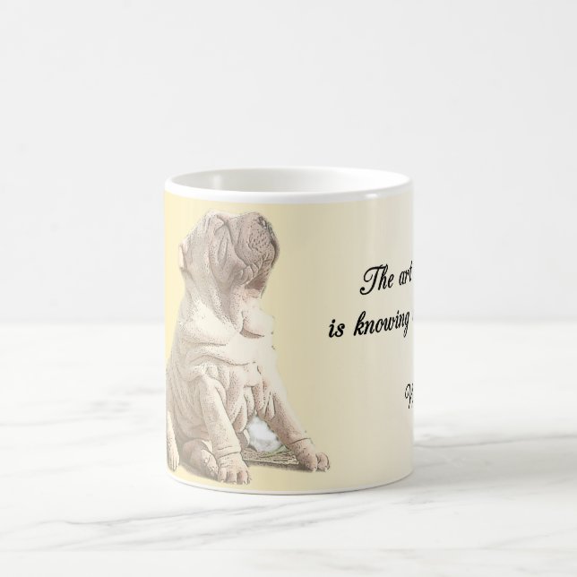Caneca Mágica A arte de ser sábio (Centro)