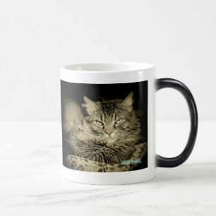 Caneca Mágica A GESTÃO da RAIVA FALHOU o anjo mal-humorado