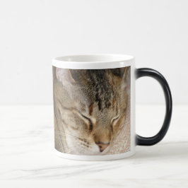 Caneca Mágica A sesta do gato Morph o copo
