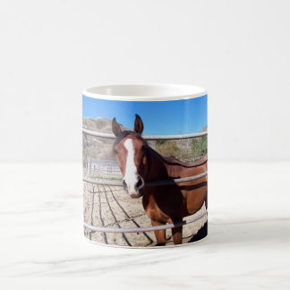Caneca Mágica abu