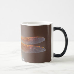 Caneca Mágica Amigo