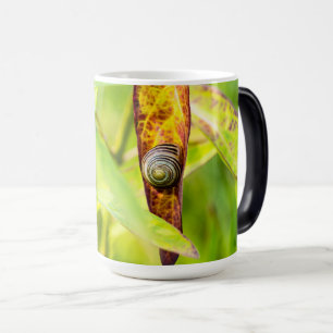 Caneca Mágica apego calmo