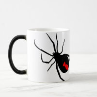 Aranha do Redback