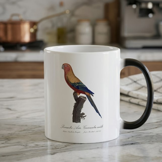 Caneca Mágica Aratinga-sol, Aratinga solstitialis (Sun Parakeet Male, Aratinga Solstitialis. Color Morph Mug)