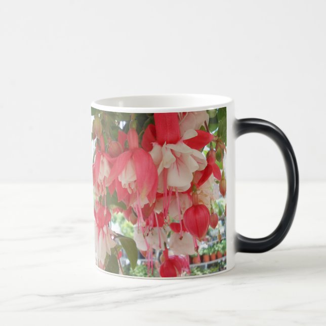 Caneca Mágica Bashkirtseff (Direita)