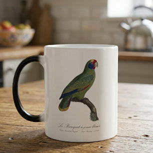 Caneca Mágica Borralheiras de perroquet/amazônia de cauda vermel