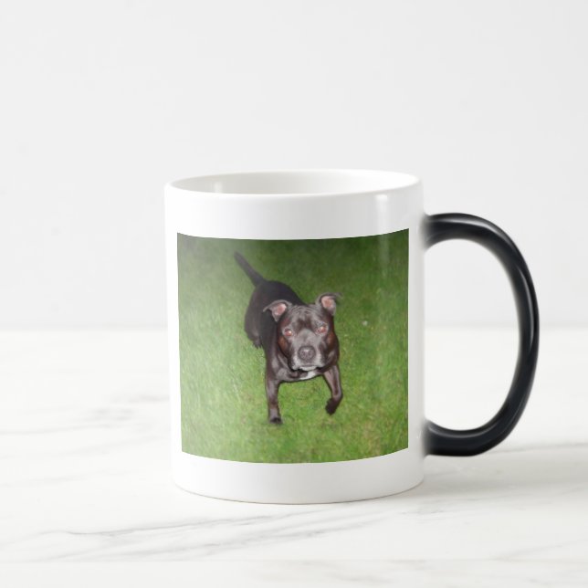 Caneca Mágica Bull terrier bonito (Direita)
