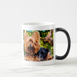 Caneca Mágica Cachorro Fofo Yorkie Paz Amor Destino Diversão Art