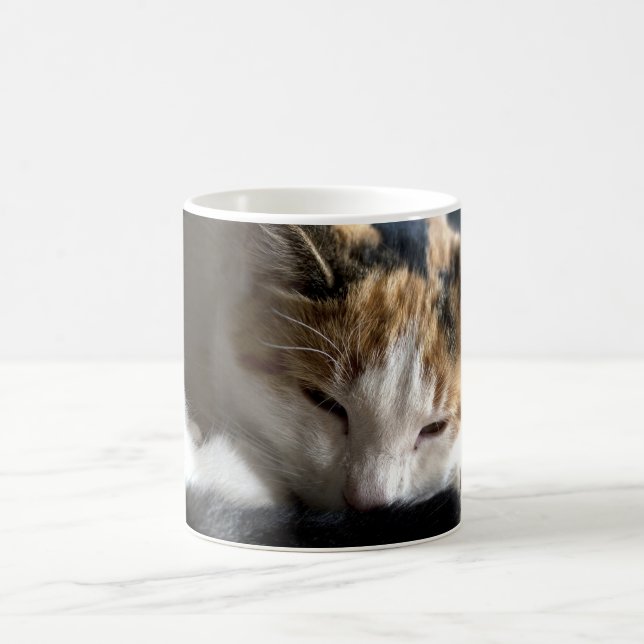 Caneca Mágica Calico Cat Dormindo (Centro)