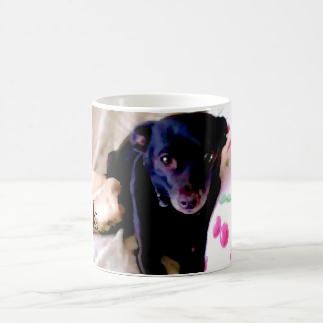 Caneca Mágica Canina (Centro)