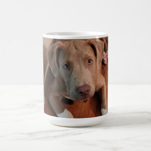 Caneca Mágica Canino