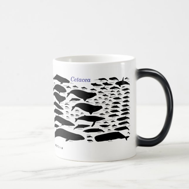 Caneca Mágica Cetaceans (Direita)