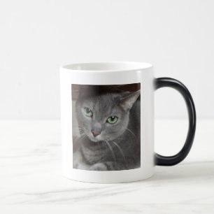 Caneca Mágica Cinza Gato Russo Azul