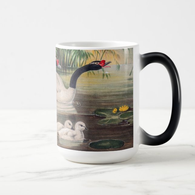 Caneca Mágica Cisne Negro Selvagem Vintage (Direita)