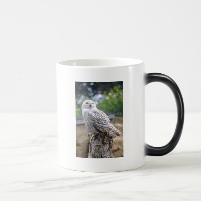 Caneca Mágica Coruja de neve (Direita)
