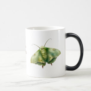 Caneca Mágica Crie a sua fantasia verde Moth