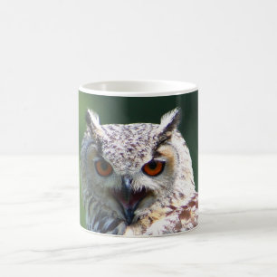 Caneca Mágica Eagle-coruja euro-asiática