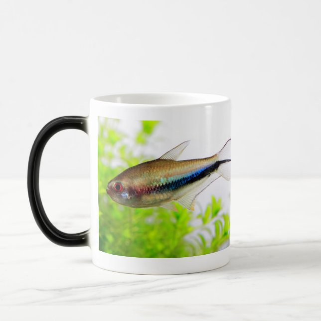 Caneca Mágica Emperor tetra (Esquerda)
