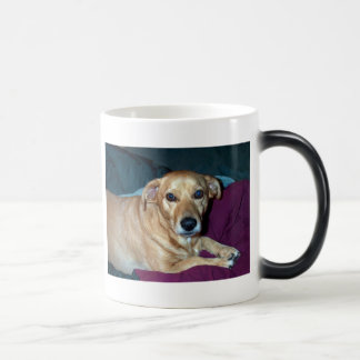 Caneca Mágica Feijão-manteiga, feijão-manteiga, feijão-manteiga,