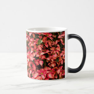 Caneca Mágica Flor de Natal "Poinsettia"