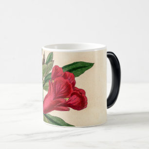 Caneca Mágica Flor romã - detalhe da ilustração da safra