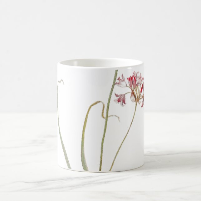 Caneca Mágica Flores de Cebola Selvagem (Centro)
