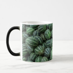 Caneca Mágica Foto de Cucamelon Verde Listrado Fresco Fruta Mexi