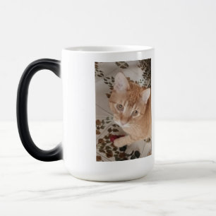 Caneca Mágica Foto de gatinho ruivo, melhor terapeuta, 