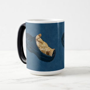 Caneca Mágica Gatinho Fluffy Dormindo Em Calçado Croc, Mágica Ca