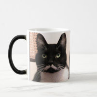 Gato do smoking