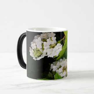 Caneca Mágica Hortênsia de folha de carvalho