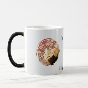 Caneca Mágica Julgando Você Rapidamente, foto de gato, Humor