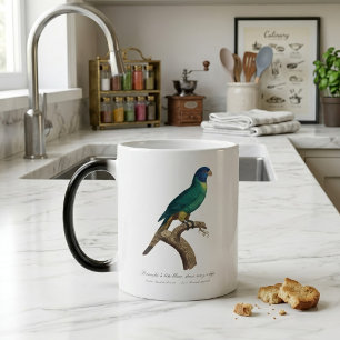 Caneca Mágica Juvenil de loriceto-arco-íris Trichoglossus molucc
