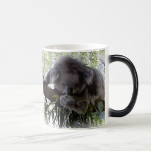 Caneca Mágica Koala peluches