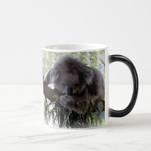 Caneca Mágica Koala peluches (Direita)