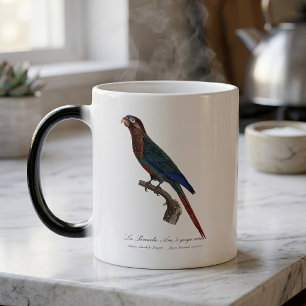 Caneca Mágica La Perruche Ara, uma variante de desfiladeiro