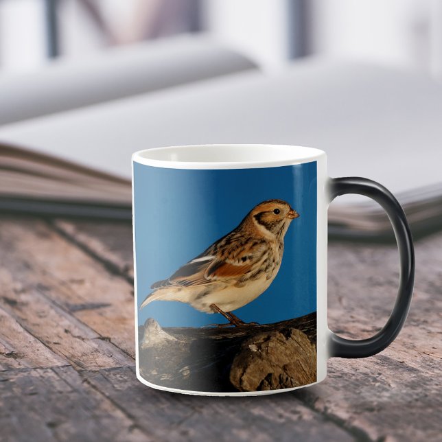 Caneca Mágica Lapland Longspur em um Diário de Sol (Lapland Longspur on Beach Driftwood 11 oz Coffee Mug Cover Photo.)