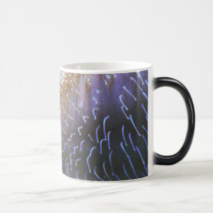 Caneca Mágica Laranja de peixe-palhaço