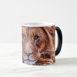 Caneca Mágica Leão Africano