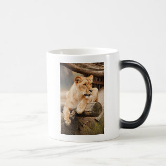 CANECA MÁGICA LIÃO