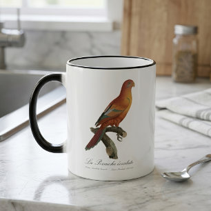 Caneca Mágica Lóri-de-bornéu, Trichoglossus borneus