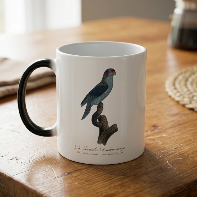Caneca Mágica Loriqueito-de-musk, Trichoglossus concinnus (Musk Lorikeet, Trichoglossus Concinnus. Color Morph Mug)