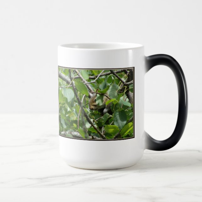 Caneca Mágica Mangueira Escamudo-Escória (Direita)