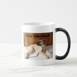 Caneca Mágica Mastif, eu amo meu mastif.