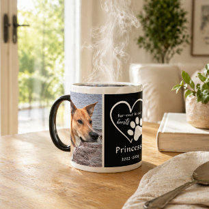 Caneca Mágica Memória de Foto de Animal de Estimação Moderna Cor