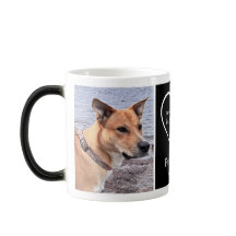 Memória Fotográfica Moderna de Pet Morphing Preto