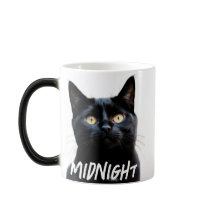 O moderno nome e a foto da tipografia Legal de Pet