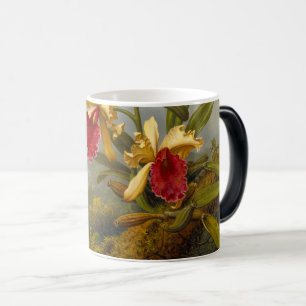 Caneca Mágica Orquídeas e Hummingbird