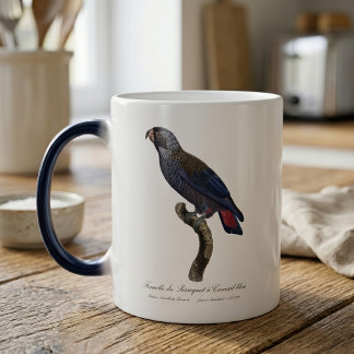 Caneca Mágica Papagaio-cinza, Pionus fuscus