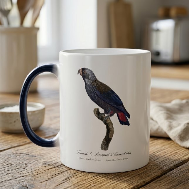Caneca Mágica Papagaio-cinza, Pionus fuscus (Dusky Parrot or Dusky Pionus, Pionus fuscus. Color Morph Mug )